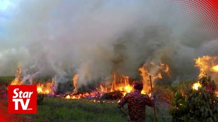 Tải video: Bomba Sarawak battling wildfires in nine districts