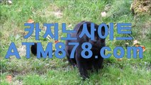 ▨ 슬롯머신게임어플 예스바카라추천⊆ｍｓｔ272．ＣＯＭ⊇ 잡이 이금민 등