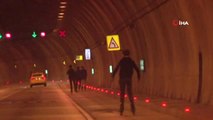 Dolmabahçe Tüneli'nde Patenli Gençlerin Tehlikeli Yolculuğu Kamerada