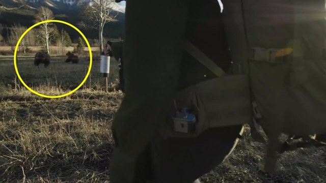 Deux hommes se font charger par un ours pendant le tournage d'un film