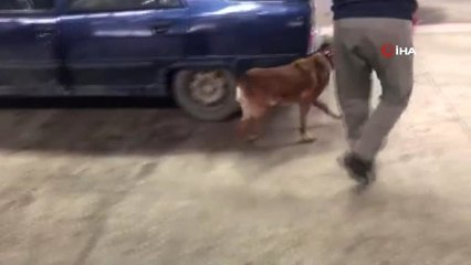 Lisa'nın Katıldığı Operasyonda 39 Kilo Eroin Ele Geçirildi