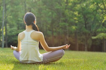 Les 3 piliers zen et minceur des japonais