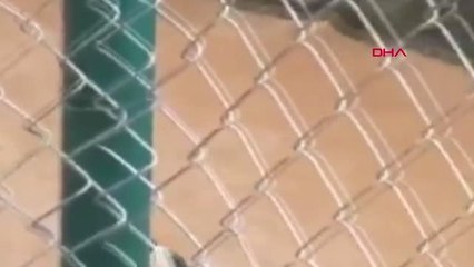 Şanlıurfa Düştüğü Derede Sürüklenen Köpeği İtfaiye, Böyle Kurtardı