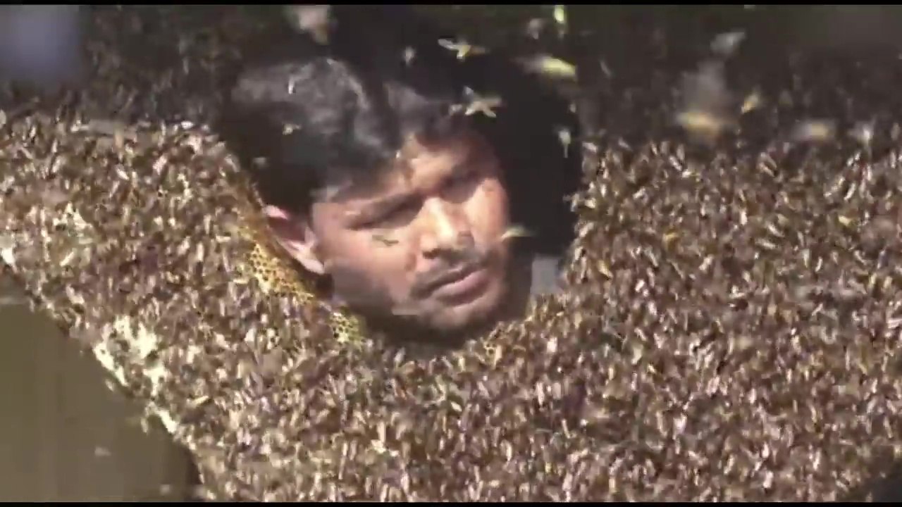 Cet homme n'a pas peur des abeilles