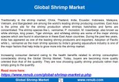 Global Shrimp Market Growth