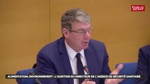 Alimentation, environnement : l'audition du directeur de l'agence de sécurité sa - Les matins du Sénat (18/03/2019)