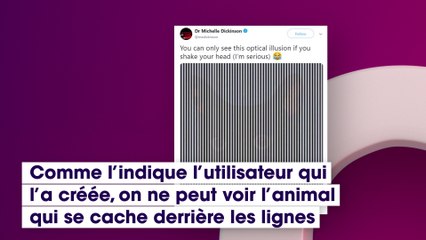 Illusion d’optique : Quel animal voyez-vous derrière ces lignes noire et blanches ?