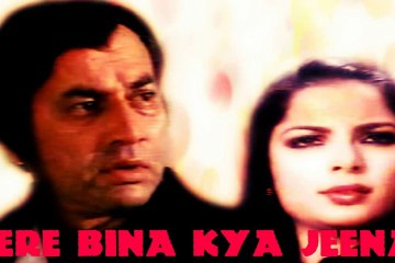 PAKISTANI  FILM TERAY BINA KYA JEENA 1982 PART (1)