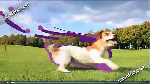 Best Web Development & Web Hosting services Company in Coimbatore