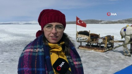 Kars’ta 40 santim buz tutan göl üzerinde atlı kızak keyfi