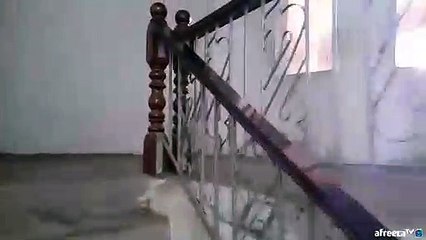 【청량리출장안마】1ØØ%ョ후불【Ø7Ø↔7575↔0062 카톡OYO78】ゃ【청량리출장안마】전지역출장마사지【청량리출장안마】출장마사지【청량리출장안마】출장마사지'출장오피걸スズセ'출장20대콜걸'출장20대콜걸