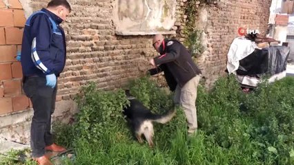 Narkotik Polisinden Şok Uygulama