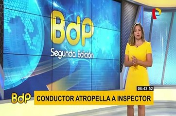 Mono con su cría se lanza sobre mujer para robarle un helado