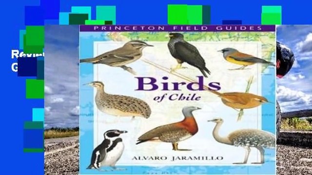 Review Birds of Chile (Princeton Field Guides) - Alvaro Jaramillo