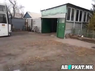 I milenicite sakaat dobra muzika