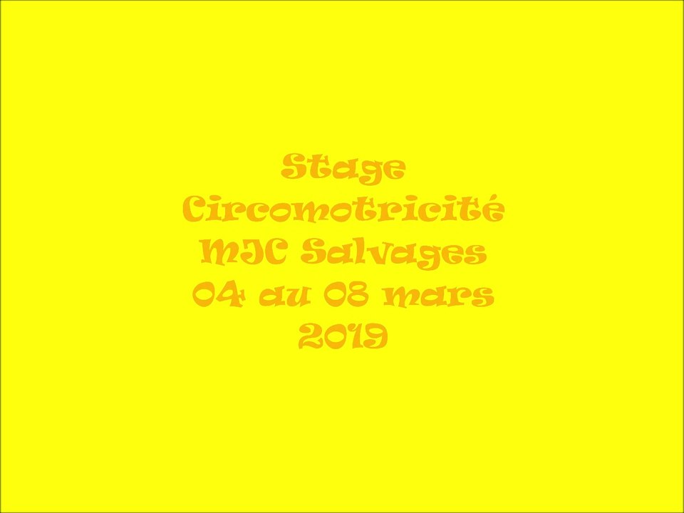 stage matin MJC Salvages hiver 2019