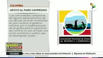 teleSUR Noticias: Colombia: apoyo al paro campesino