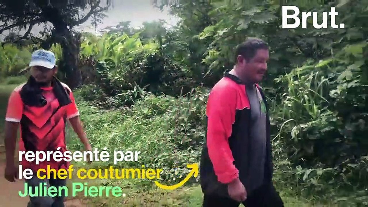 En Guyane, les chercheurs d'or menacent la biodiversité et les peuples autochtones