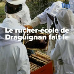 Le rucher-ecole de Draguignan fait le buzz
