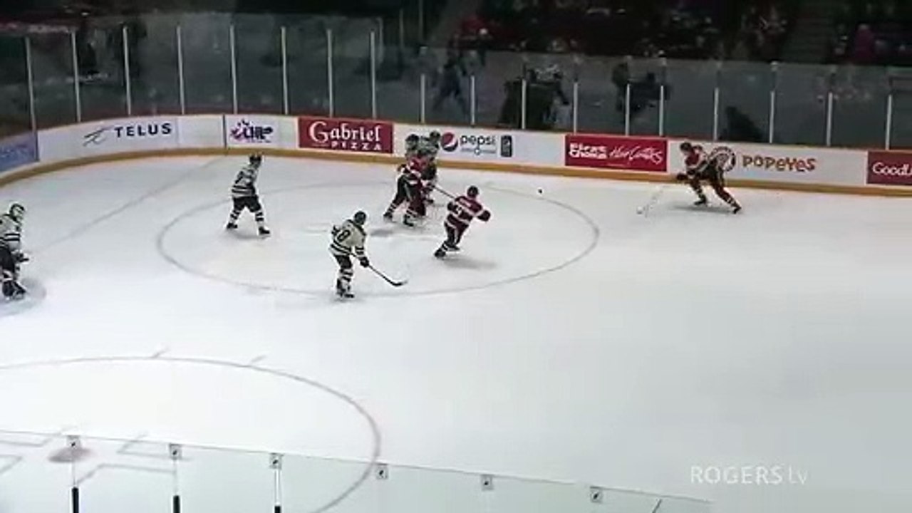 Timleck's Overtime Winner
