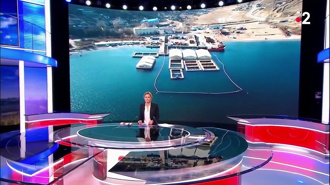 En Russie, une "prison à baleines" enferme des cétacés (en attendant leur vente à la Chine)