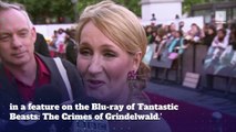 JK Rowling Faces Backlash Over Revealing Dumbledore and Grindelwald's Relationship