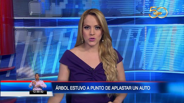 Árbol estuvo a punto de aplastar un auto