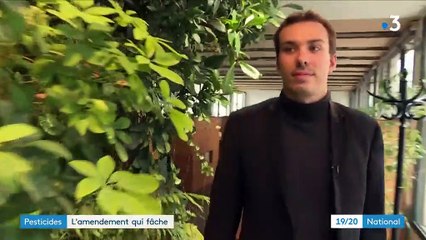 Pesticides : l'amendement qui fâche