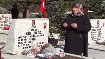 Şehit Kızından Yürekleri Burkan Söz: "Babamın Canı Acımaz Değil Mi"
