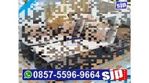 0857-5596-9664, Kursi Santai Rotan Panjang, Kursi Santai Rotan Pekanbaru, Kursi Santai Rotan Ruang Keluarga