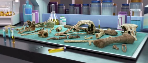 The Ostrich politic - Animation Short Film 2018 - GOBELINS