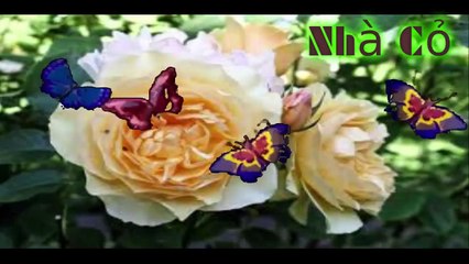 Audio đam mỹ: Dị Thế Lưu Đày: 198-200