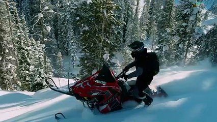 EnginSoft USA Joins PTC Partner Network for Creo and Creo Simulation Live