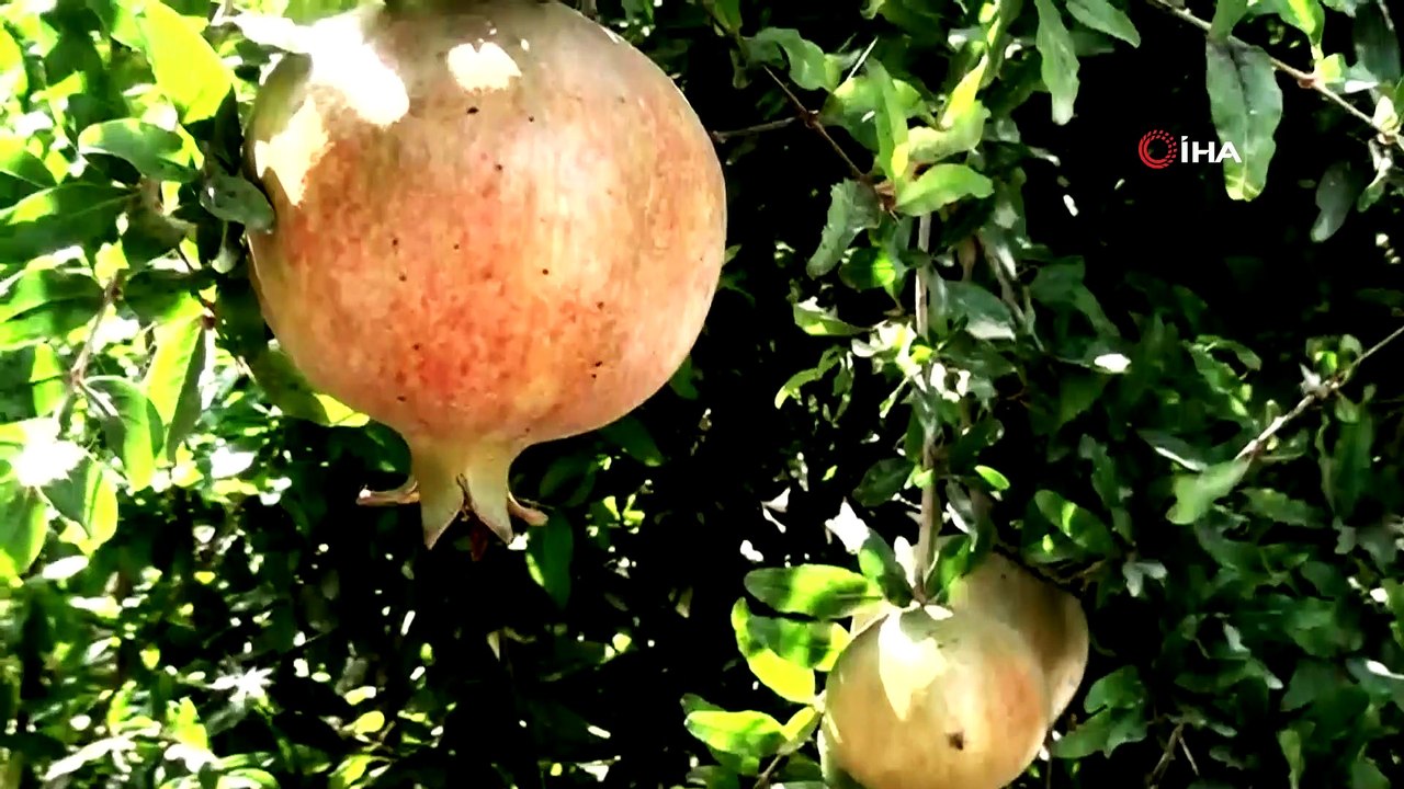 Köyceğiz “sakin şehir” oldu