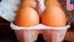 Eating too many eggs increases heart disease risk, study says