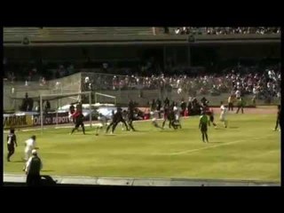 El Color de Pumas vs Necaxa