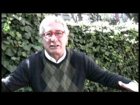 Especialistas RÉCORD. Un año de estancamiento para el futbol mexicano