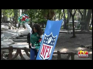 Las porristas de los Delfines de Miami