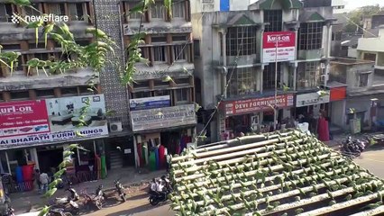 Indian man feeds thousands of parakeets everyday from outside his apartment