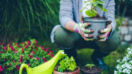 Doing Your Spring Cleaning? Hit These Outdoor Spots, Too
