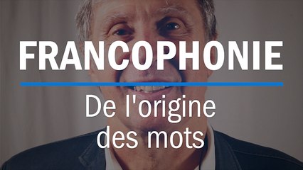 Seum, pantalon, cric... Quelles sont les origines du français ?