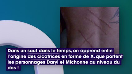 The Walking Dead : on sait ENFIN d’où viennent les cicatrices de Daryl et Michonne