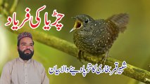 Shabbir Qamar Bukhari Islamic Video Latest Bayan 2019