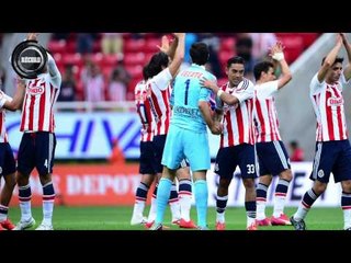 Gustavo Matosas felicita a Chivas por su liderato