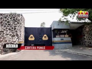 Cantera de Pumas: La ‘Joya' del Pedregal