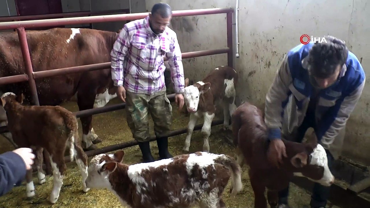 Devlet desteği ile çiftliğin kapasitesini arttırdı