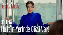 Ender'in, Halit'in yerinde gözü var! - Yasak Elma 37. Bölüm