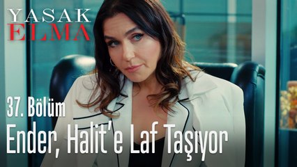 Ender, Halit'e laf taşıyor - Yasak Elma 37. Bölüm