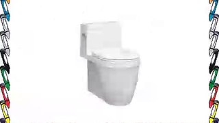 Icera One Piece Elongated Toilet W Skirted Trapway Muse C619000 Toilet