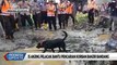 Banjir Bandang di Jayapura, 15 Anjing Pelacak Bantu Pencarian Korban